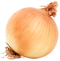 Onion